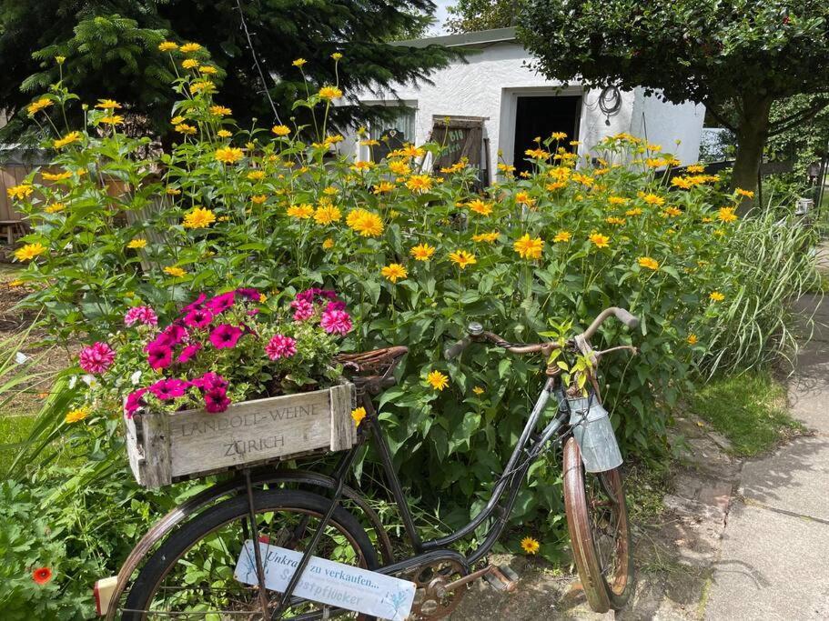 Tiny House Ostsee # Naturwerk Pruchten Exteriör bild