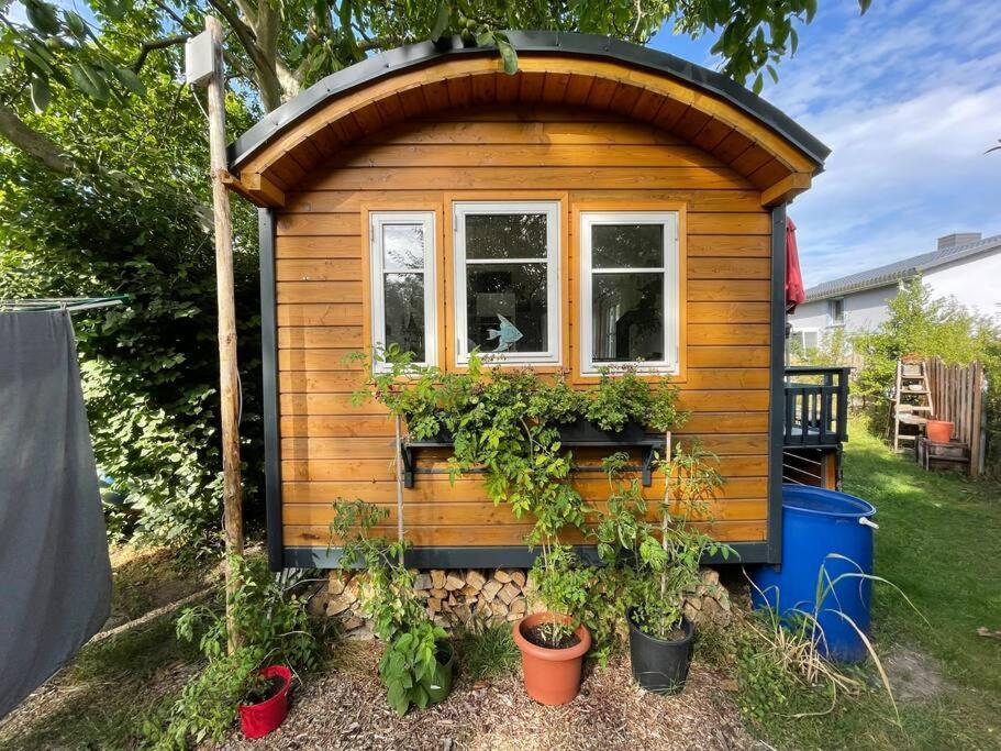 Tiny House Ostsee # Naturwerk Pruchten Exteriör bild
