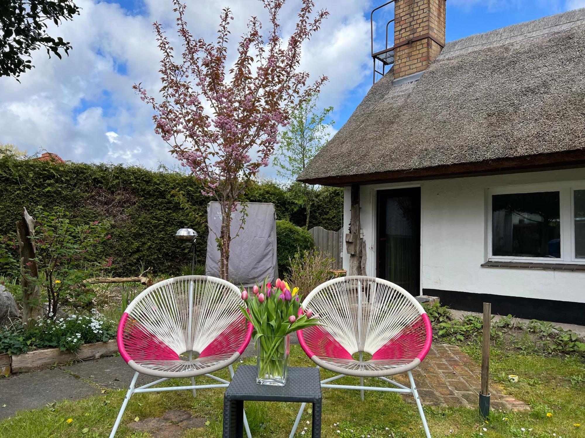 Tiny House Ostsee # Naturwerk Pruchten Exteriör bild